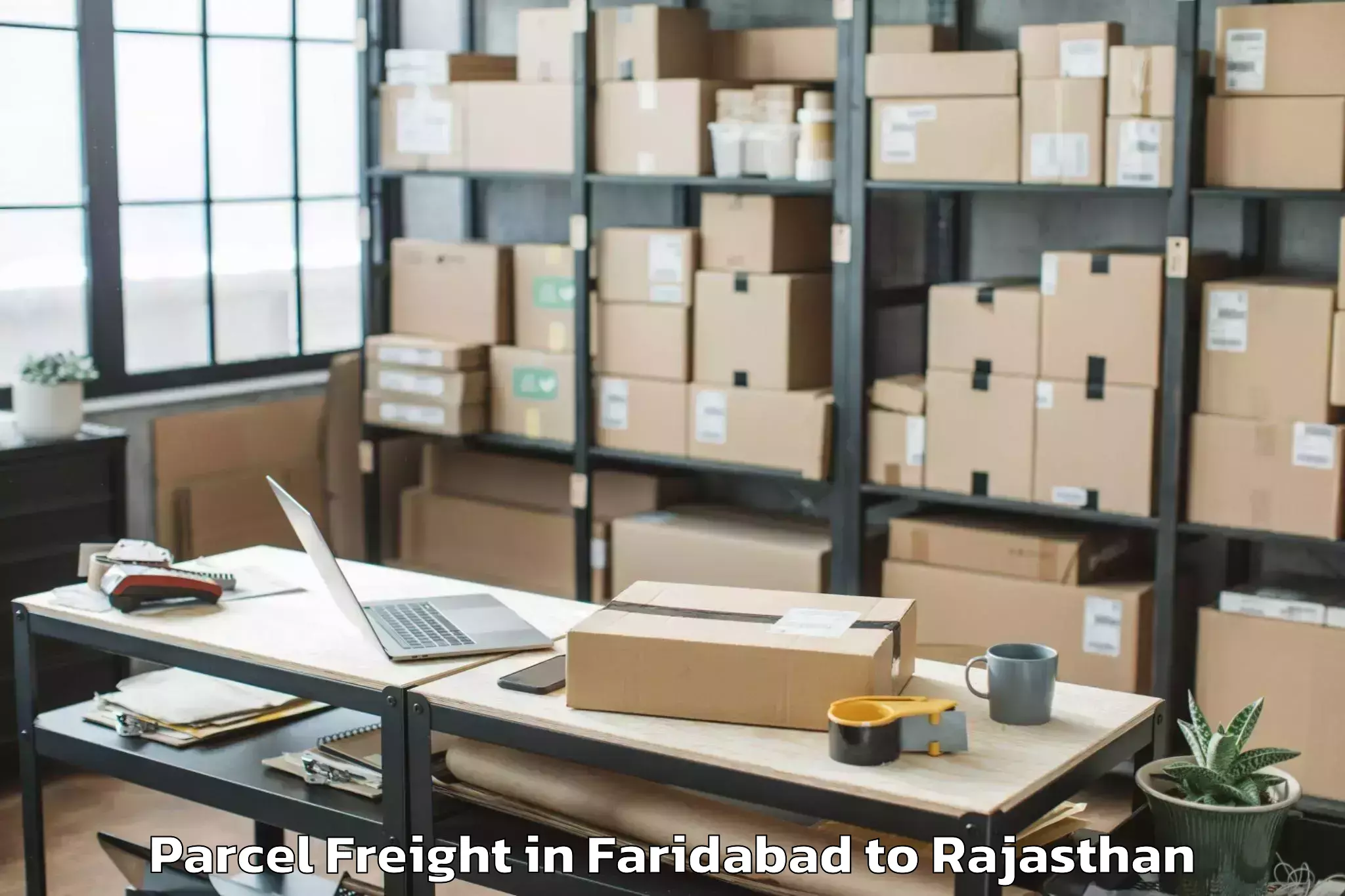 Quality Faridabad to Nimaj Parcel Freight